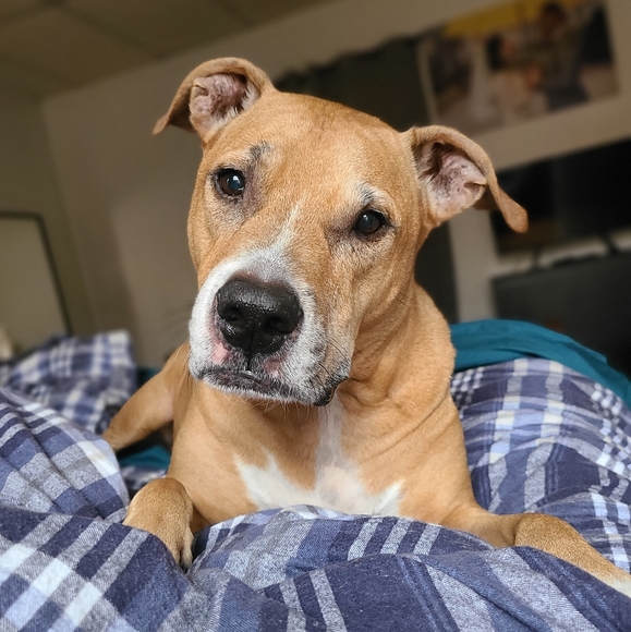 Meet your Posher, Karen - Picture 2 of 5